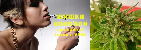 шишки Фурманов