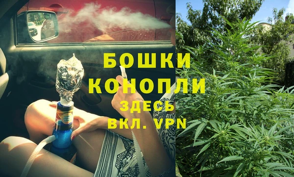 ешки Гусев