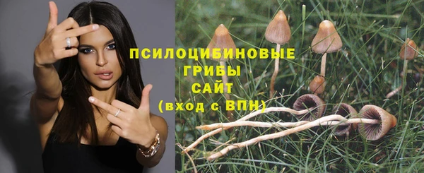 2c-b Гусь-Хрустальный
