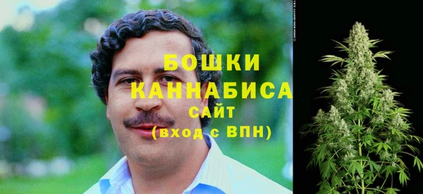 2c-b Гусь-Хрустальный