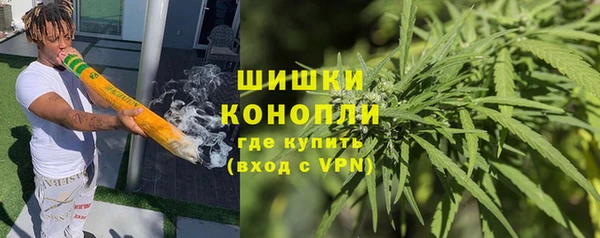 ешки Гусев