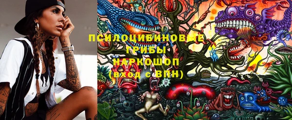 ешки Гусев