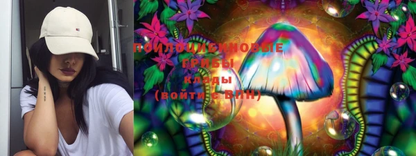 2c-b Гусь-Хрустальный