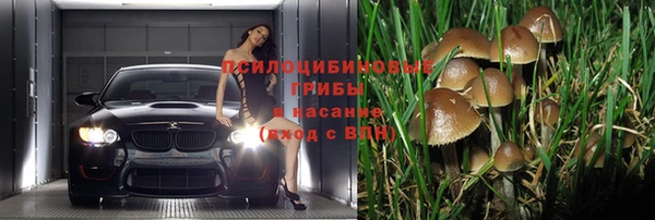 a pvp Гусиноозёрск